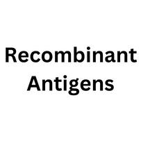 Recombinant Antigens