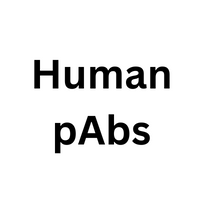 Human pAbs