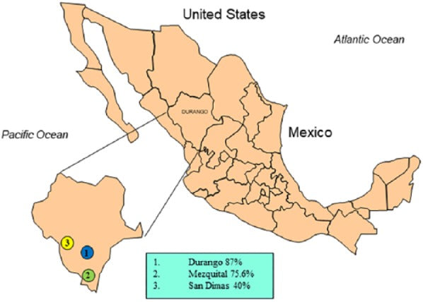 Apparently high Leptospira antibody seropositivity in donkeys for slaughter in three municipalities in Durango, Mexico