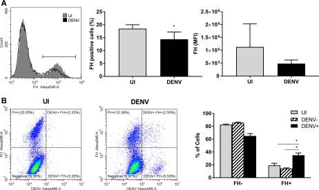 Dengue Virus Induces Increased Activity of the Complement Alternative Pathway in Infected Cells