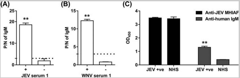 Establishment of an Algorithm Using prM/E- and NS1-Specific IgM Antibody-Capture Enzyme-Linked Immunosorbent Assays in Diagnosis of Japanese Encephalitis Virus and West Nile Virus Infections in Humans.