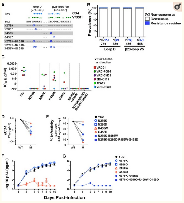 HIV-1 fitness cost associated with escape from the VRC01 class of CD4 binding site neutralizing antibodies.
