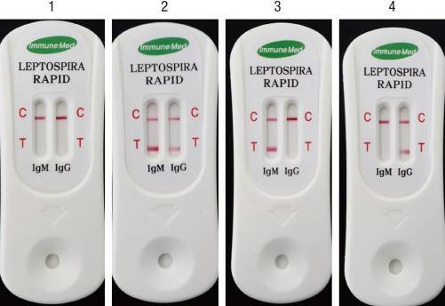 Clinical Evaluation of Rapid Diagnostic Test Kit Using the Polysaccharide as a Genus-Specific Diagnostic Antigen for Leptospirosis in Korea, Bulgaria, and Argentina