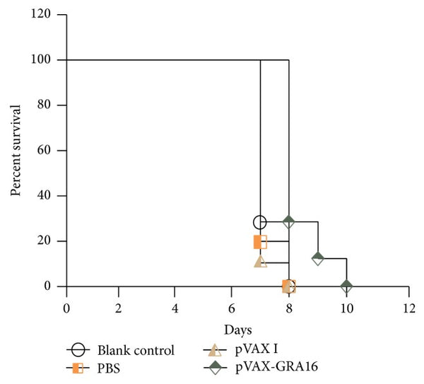 Resistance to Chronic Toxoplasma gondii Infection Induced by a DNA Vaccine Expressing GRA16