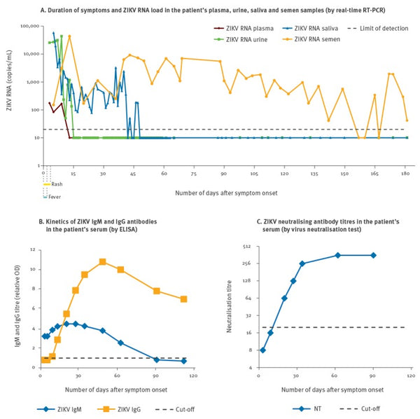 Infection dynamics in a traveller with persistent shedding of Zika virus RNA in semen for six months after returning from Haiti to Italy, January 2016