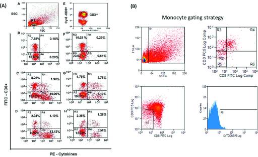 Role of T. cruzi exposure in the pattern of T cell cytokines among chronically infected HIV and Chagas disease patients