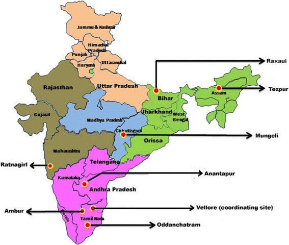 Acute undifferentiated fever in India: a multicentre study of aetiology and diagnostic accuracy