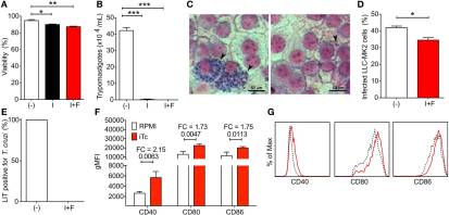 Programmed Cell Death Protein 1–PDL1 Interaction Prevents Heart Damage in Chronic Trypanosoma cruzi Infection