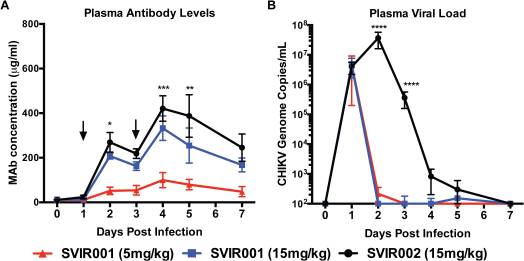 Therapeutic administration of a recombinant human monoclonal antibody reduces the severity of chikungunya virus disease in rhesus macaques