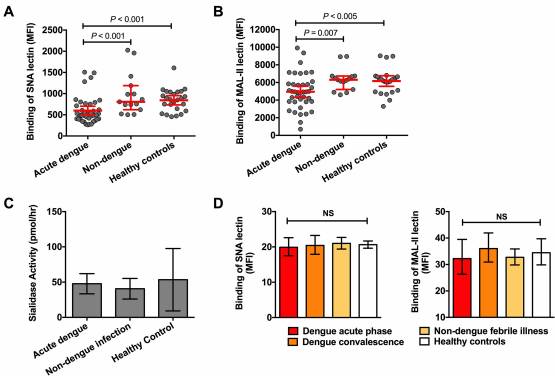 Desialylation of platelets induced by Von Willebrand Factor is a novel mechanism of platelet clearance in dengue