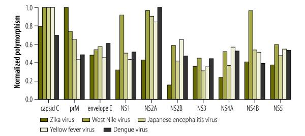 Systematic analysis of protein identity between Zika virus and other arthropod-borne viruses