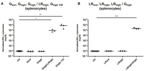 Strain- and Dose-Dependent Reduction of Toxoplasma gondii Burden in Pigs Is Associated with Interferon-Gamma Production by CD8+ Lymphocytes in a Heterologous Challenge Model