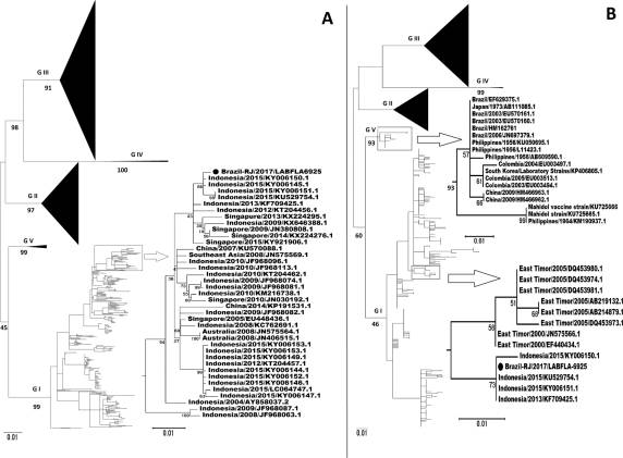 Imported case of Dengue virus 3 genotype I in Rio de Janeiro state, Brazil