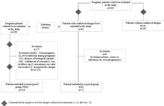 A prospective matched study on symptomatic dengue in pregnancy
