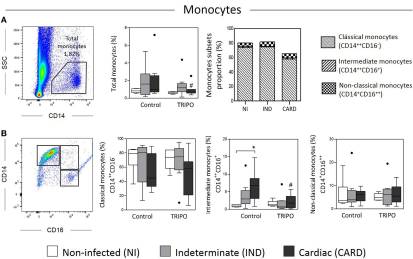 CD86 Expression by Monocytes Influences an Immunomodulatory Profile in Asymptomatic Patients with Chronic Chagas Disease