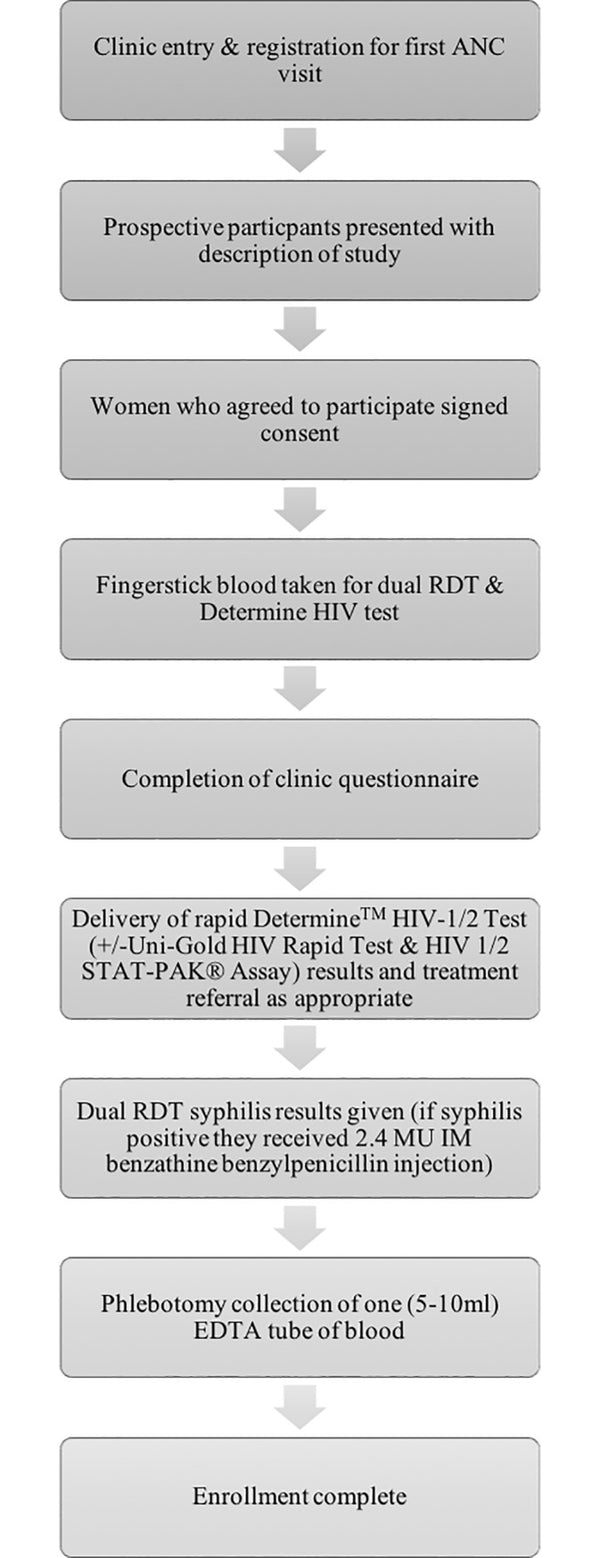 Clinic-based evaluation study of the diagnostic accuracy of a dual rapid test for the screening of HIV and syphilis in pregnant women in Nigeria