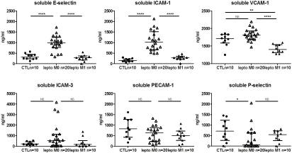 Increased levels of soluble forms of E-selectin and ICAM-1 adhesion molecules during human leptospirosis