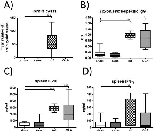 Oocyst-Derived Extract of Toxoplasma Gondii Serves as Potent Immunomodulator in a Mouse Model of Birch Pollen Allergy