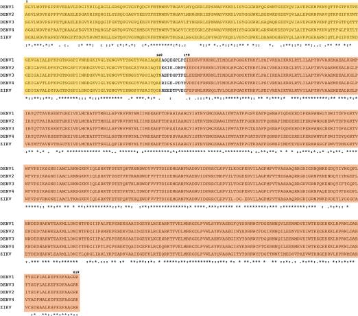 T Cell Responses to Nonstructural Protein 3 Distinguish Infections by Dengue and Zika Viruses