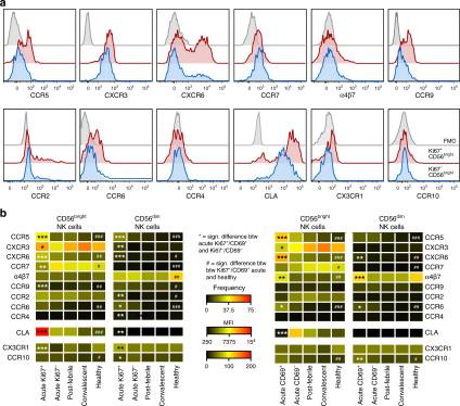 NK cells are activated and primed for skin-homing during acute dengue virus infection in humans