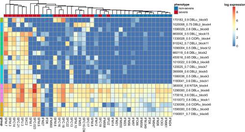The Plasmodium falciparum transcriptome in severe malaria reveals altered expression of genes involved in important processes including surface antigen–encoding var genes