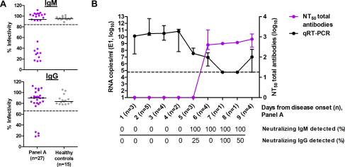 The neutralizing role of IgM during early Chikungunya virus infection