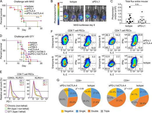 PD-L1, TIM-3, and CTLA-4 Blockade Fails To Promote Resistance to Secondary Infection with Virulent Strains of Toxoplasma gondii