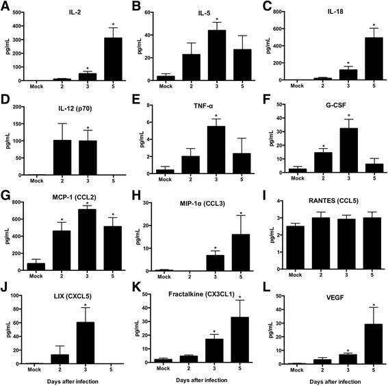 A guinea pig model of Zika virus infection