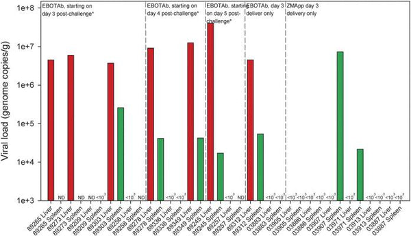 Post-exposure treatment of Ebola virus disease in guinea pigs using EBOTAb, an ovine antibody-based therapeutic