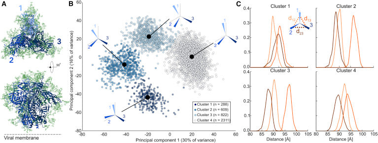 Microsecond Dynamics and Network Analysis of the HIV-1 SOSIP Env Trimer Reveal Collective Behavior and Conserved Microdomains of the Glycan Shield.