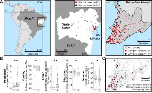 High Zika Virus Seroprevalence in Salvador, Northeastern Brazil Limits the Potential for Further Outbreaks