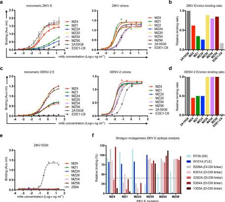 Potent Zika and dengue cross-neutralizing antibodies induced by Zika vaccination in a dengue-experienced donor