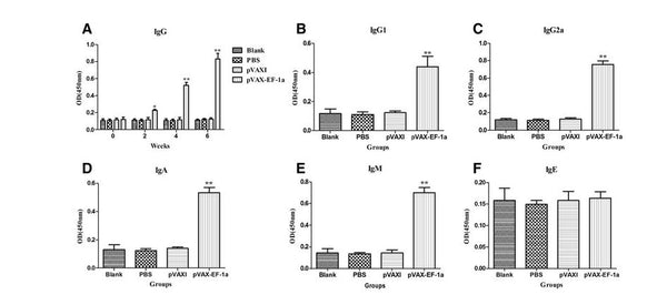 Protective immunity against acute toxoplasmosis in BALB/c mice induced by a DNA vaccine encoding Toxoplasma gondii elongation factor 1-alpha