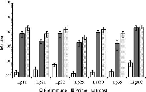 Protective Immunity and Reduced Renal Colonization Induced by Vaccines Containing Recombinant Leptospira interrogans Outer Membrane Proteins and Flagellin Adjuvant