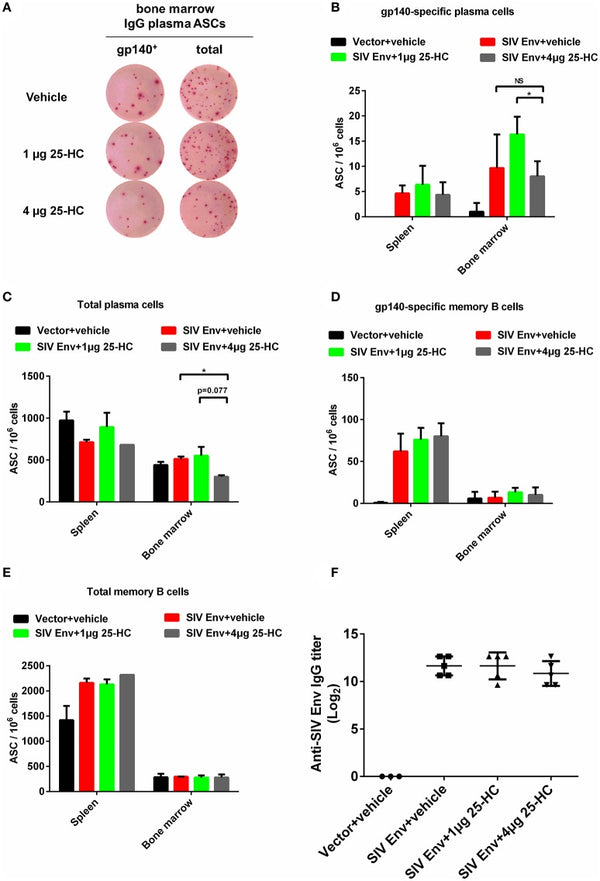 Regulating Innate and Adaptive Immunity for Controlling SIV Infection by 25-Hydroxycholesterol