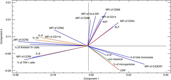 Different phenotypes of non‐classical monocytes associated with systemic inflammation, endothelial alteration and hepatic compromise in patients with dengue