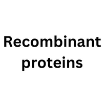 Recombinant proteins