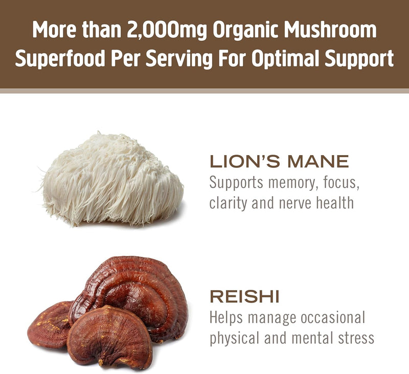 Om Mushroom Superfood Brain Fuel Plus Mushroom Powder Drink Mix, Mocha Flavor, 4 Ounce, 15 Servings, Lions Mane & Rhodiola, Memory & Focus Support Supplement